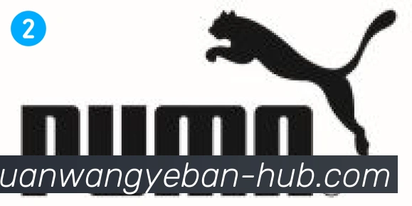 皇冠体育网页版合作伙伴